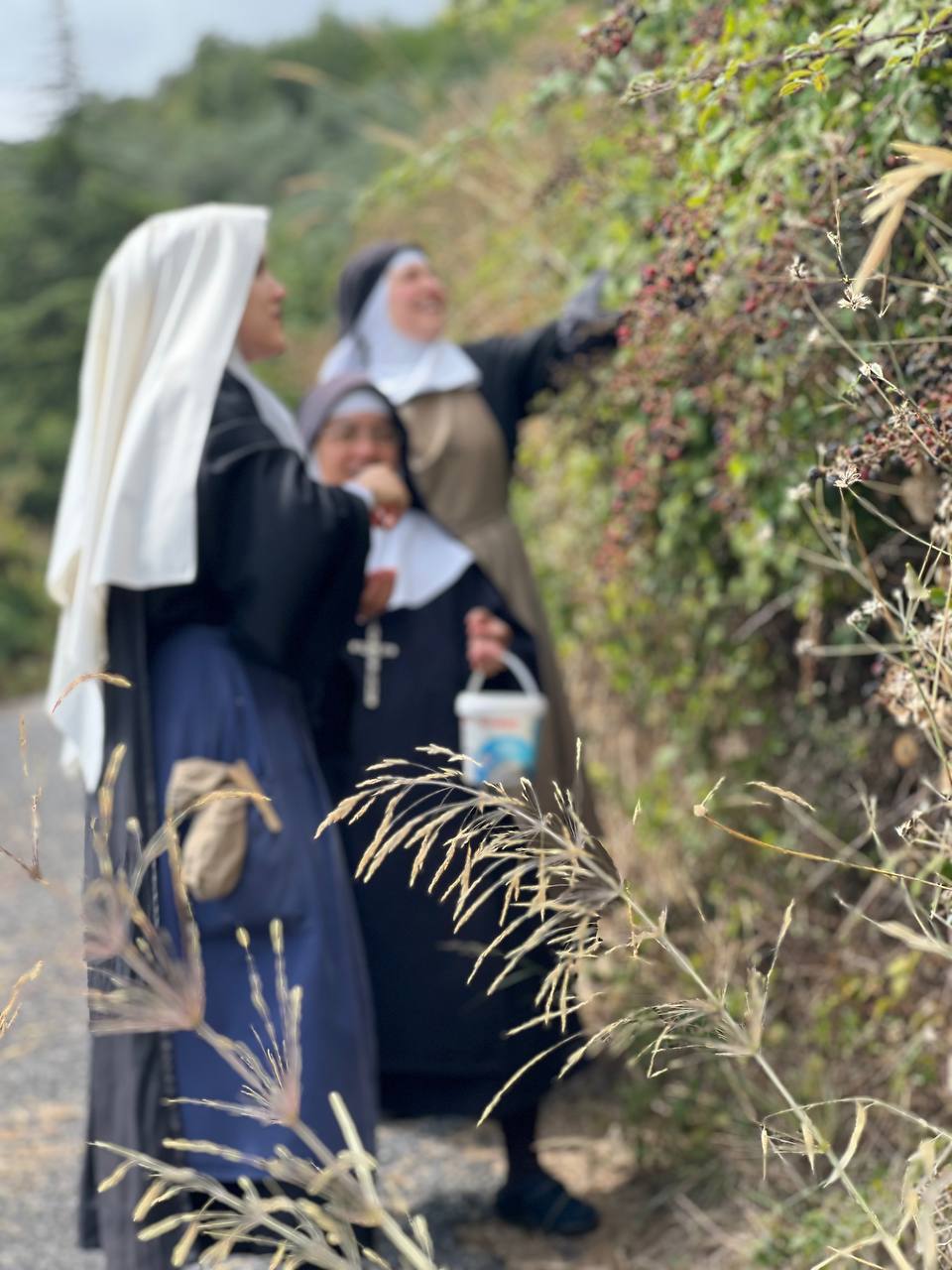 photo_16_2025-09-30_11-19-29